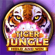 Người dùng đăng ký tài khoản và thực hiện nạp tiền tại sumvip5 casino